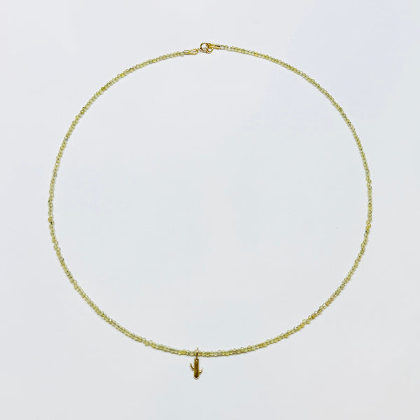 delicate with cactus charm