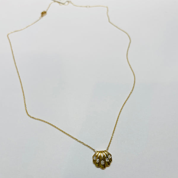shell necklace