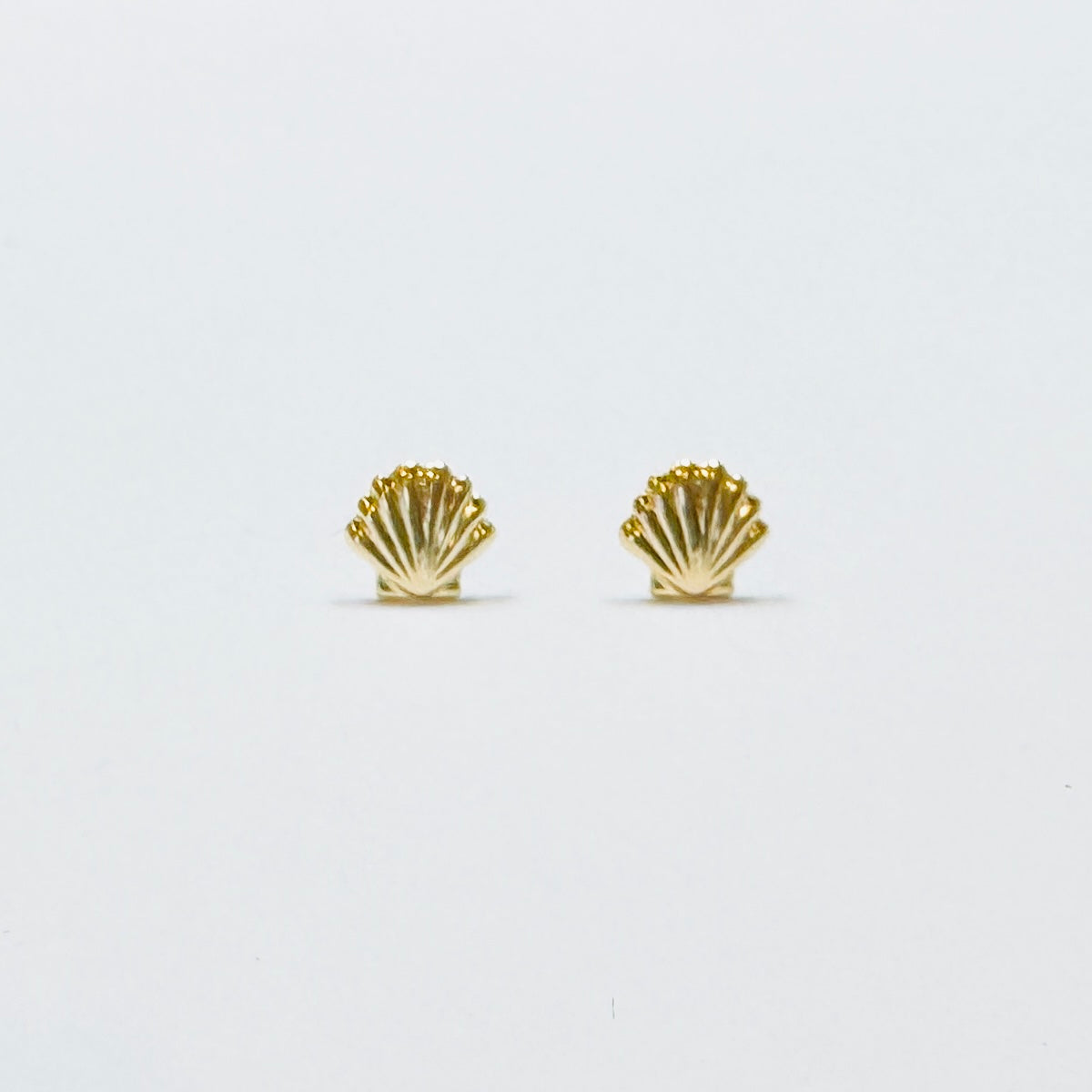 gold clam shell studs