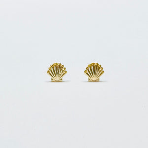 gold clam shell studs