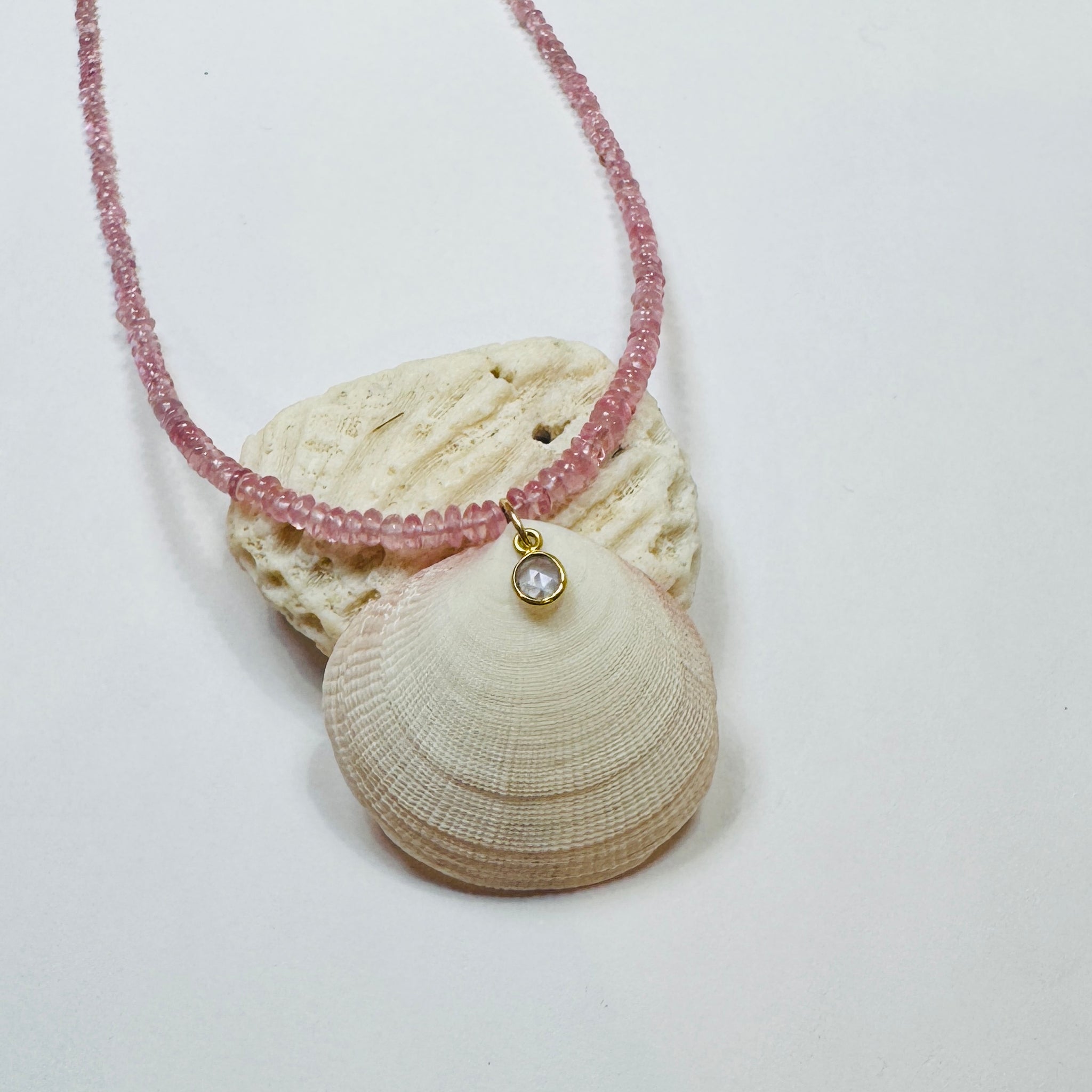 Bahamian clam shell necklace