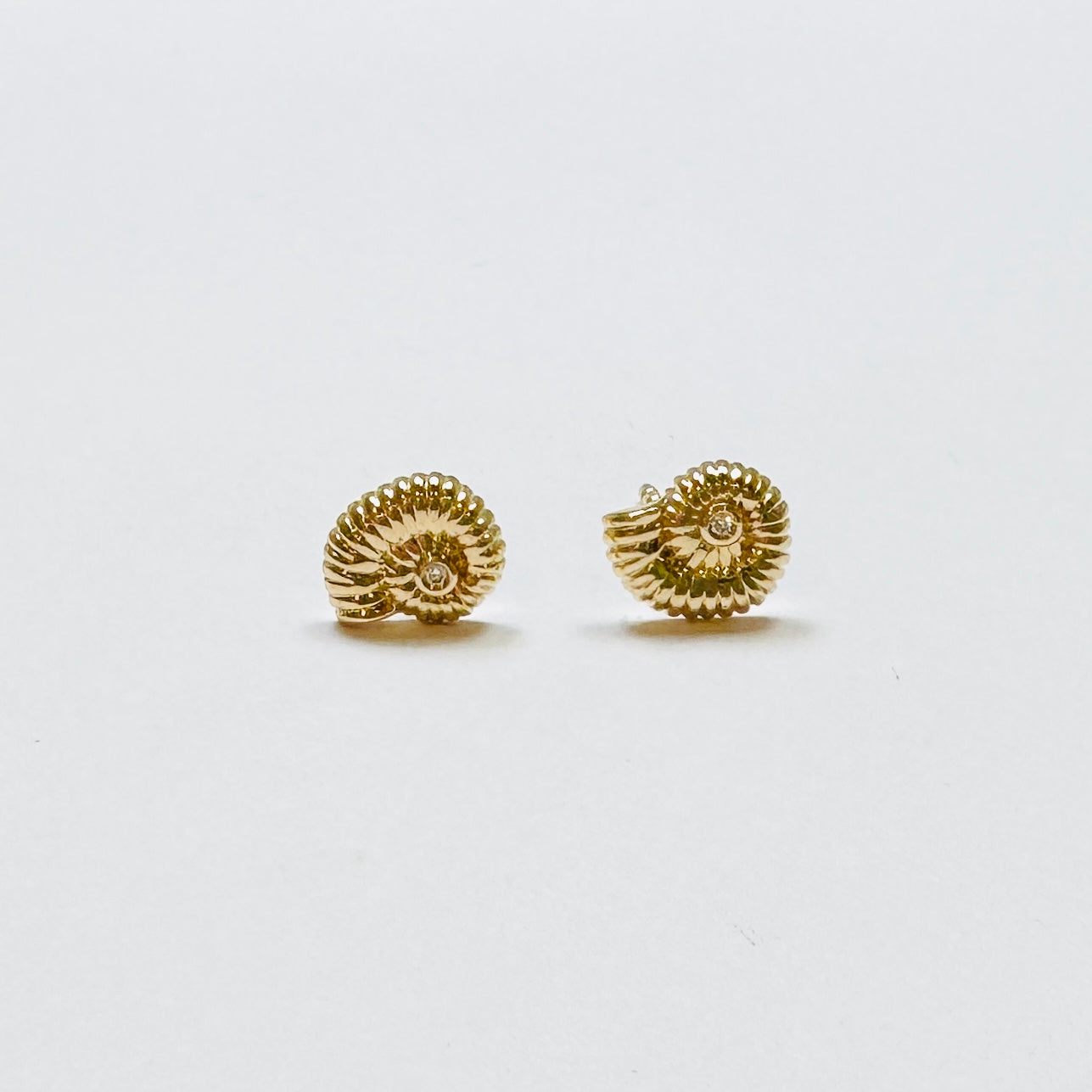 Nautilus shell studs