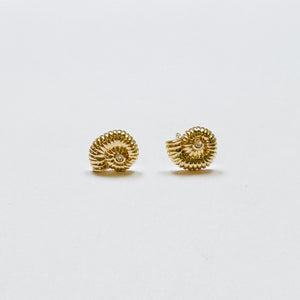 Nautilus shell studs