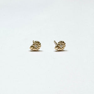 Nautilus shell studs