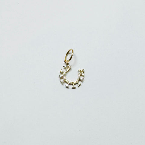 horseshoe charm