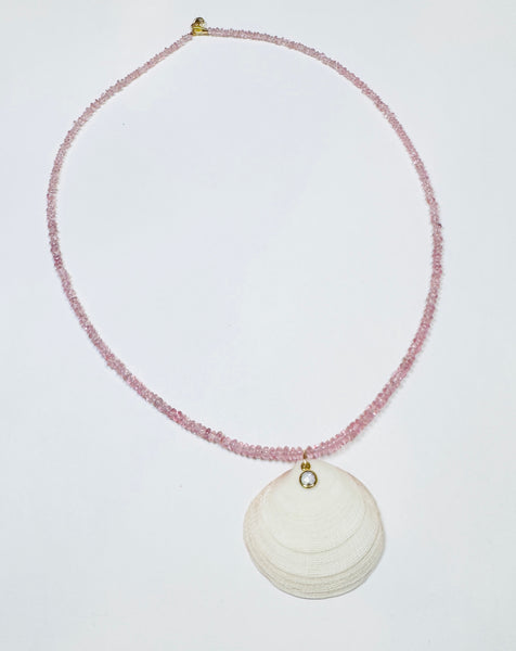 Bahamian clam shell necklace