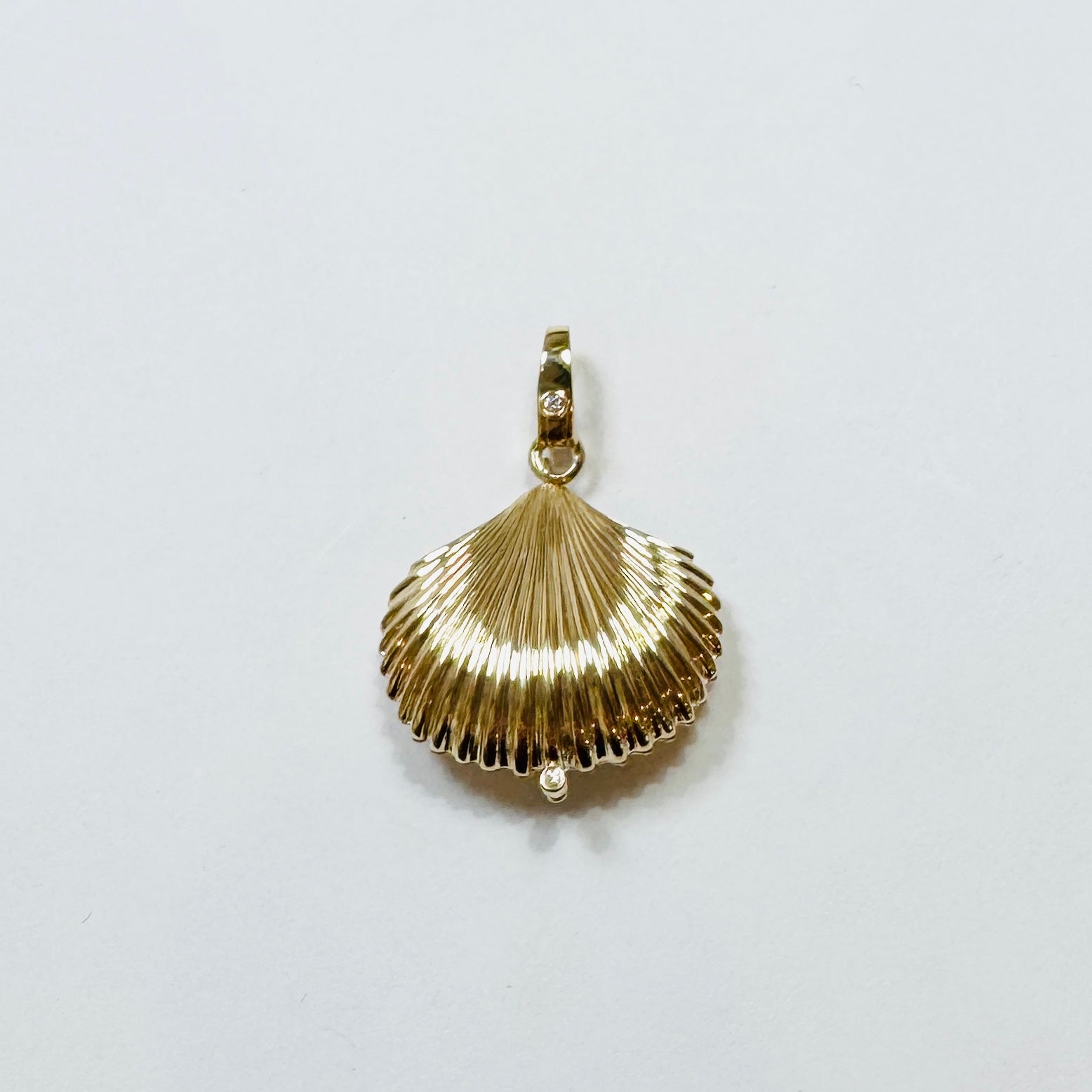 Shell Vocket Shell locket pendant – Theodosia Jewelry