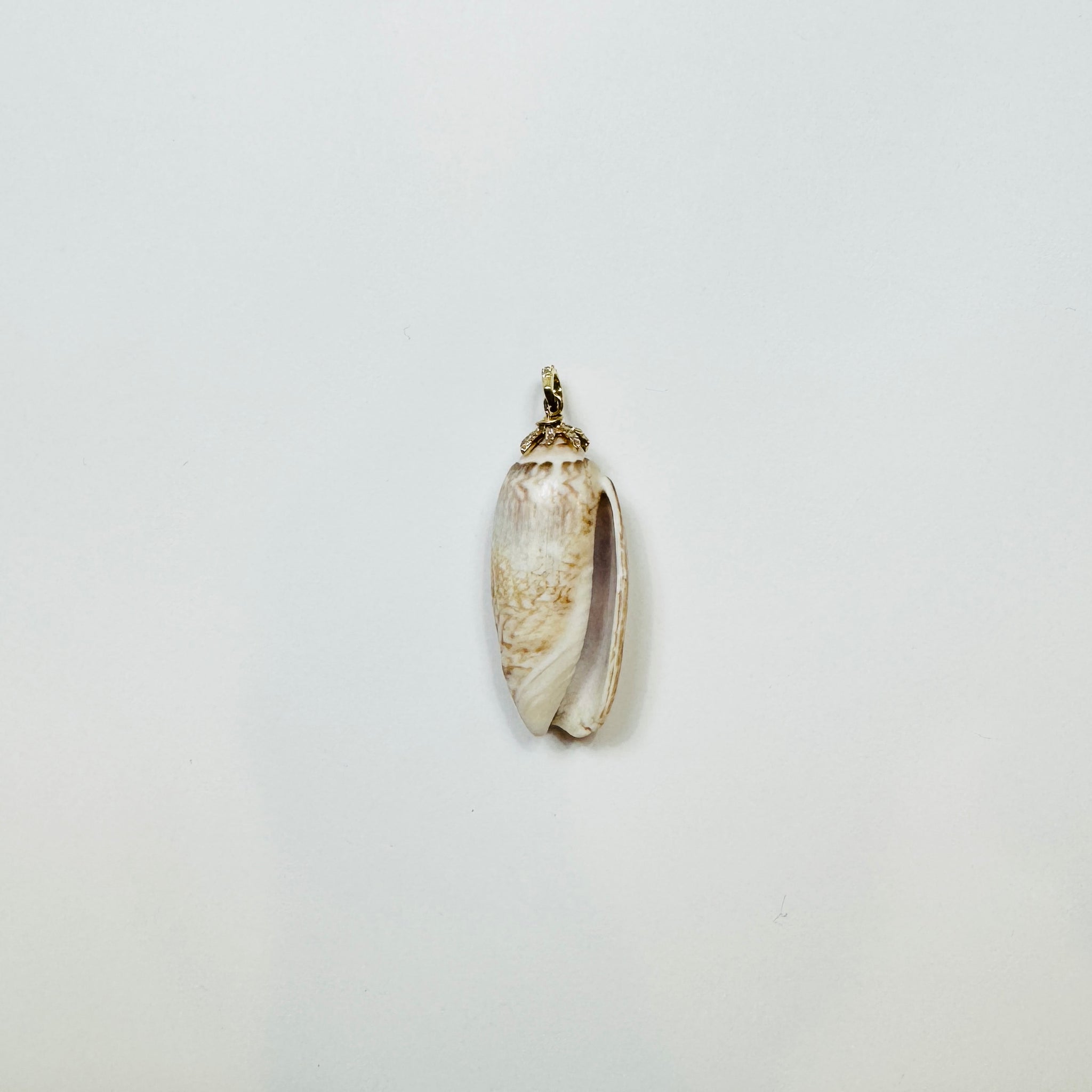 carolina shell pendant