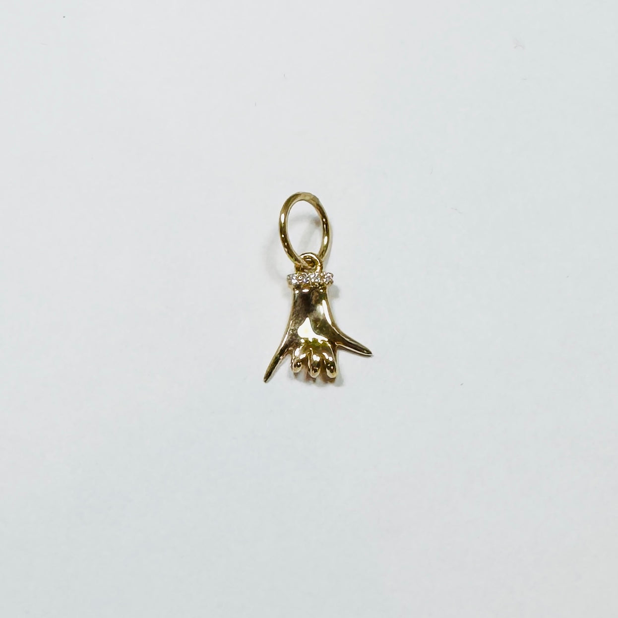 Shaka charm