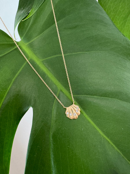 shell necklace